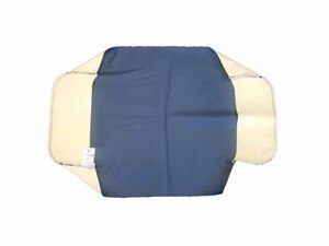 ic lev blue cushion
